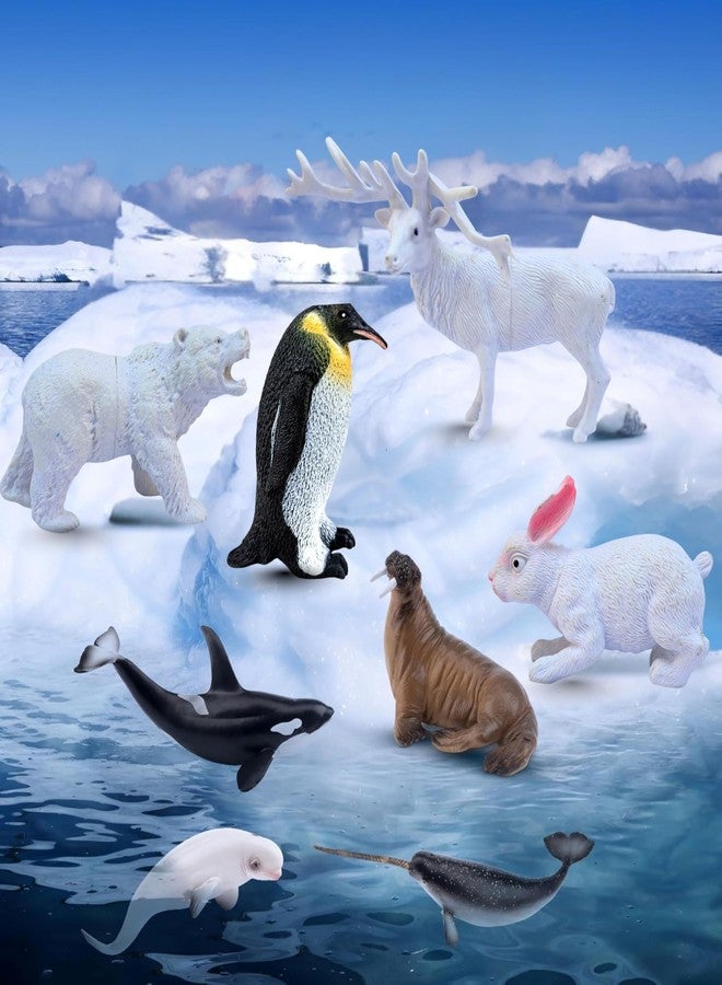 MALLEXO Attractive Arctic Animal Toys for Kids 3+ | Realistic 10 PCs Ocean | Jungle Animals Toy Figure for Boys and Girls Birthday Gifts for Children Educational & Decor Item Shark, Whale, Janwar Toys - Image 4